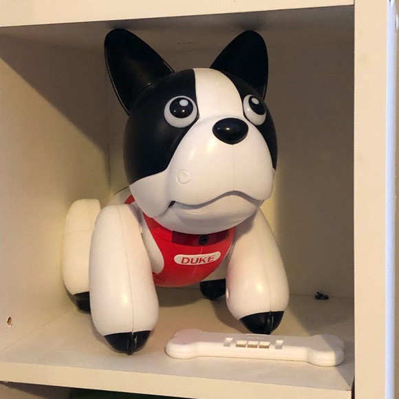 duke the robot dog